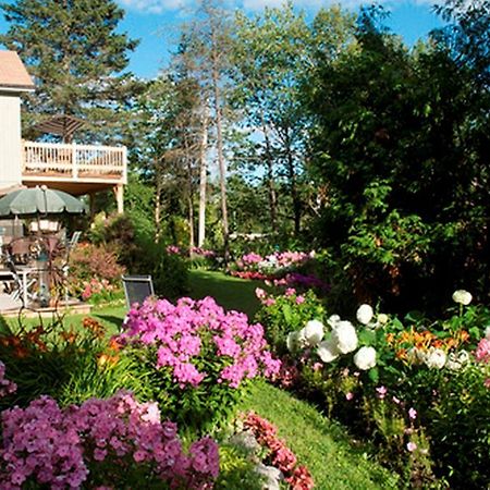 Gite Au Pied Du Courant De Gilbert Desjardins Mont-Laurier Ngoại thất bức ảnh
