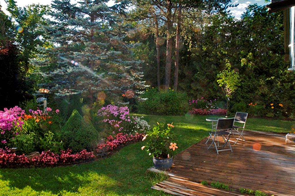 Gite Au Pied Du Courant De Gilbert Desjardins Mont-Laurier Ngoại thất bức ảnh