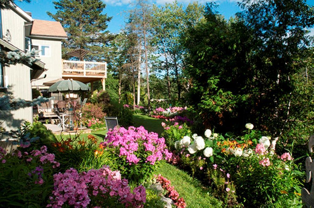 Gite Au Pied Du Courant De Gilbert Desjardins Mont-Laurier Ngoại thất bức ảnh