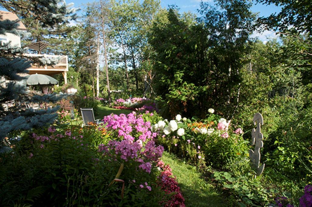 Gite Au Pied Du Courant De Gilbert Desjardins Mont-Laurier Ngoại thất bức ảnh